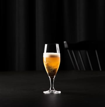 Passion connoisseur ølglas 40 cl 2-pak - Clear - Aida