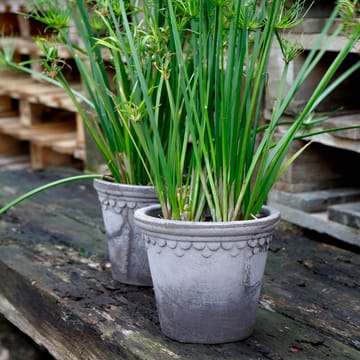 Københavner blomsterkrukke Ø18 cm - Grå - Bergs Potter