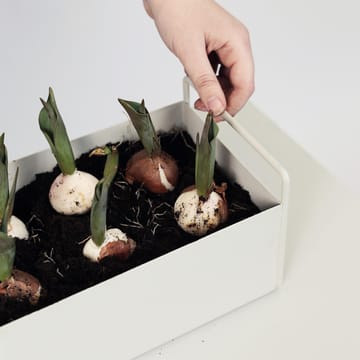 ferm LIVING plant box small - lysegrå - ferm LIVING