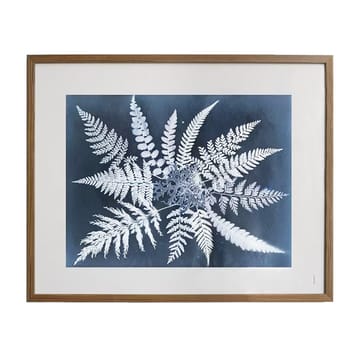 "Fern star" plakat - 40x50 cm - Fine Little Day