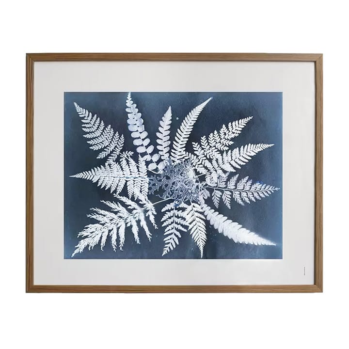 "Fern star" plakat, 40x50 cm Fine Little Day