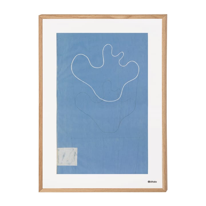 Aalto Art Sketch blue plakat, 50x70 cm Iittala