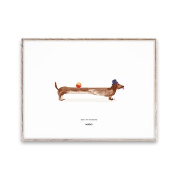 Doug the Dachshund plakat - 30x40 cm - Paper Collective