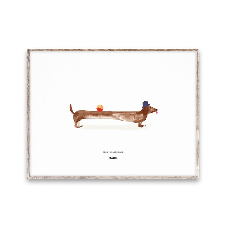 Doug the Dachshund plakat, 30x40 cm Paper Collective