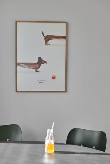 Doug the Dachshund plakat - 50x70 cm - Paper Collective