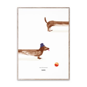 Doug the Dachshund plakat - 50x70 cm - Paper Collective