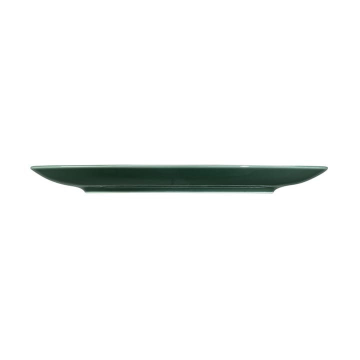 Terra tallerken Ø22,7 cm 6-pak, Moss Green Seltmann Weiden