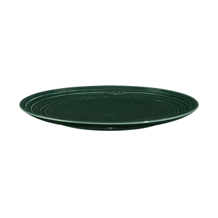 Terra tallerken Ø22,7 cm 6-pak, Moss Green Seltmann Weiden