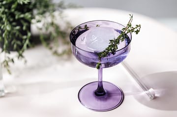 Like champagneglas coupe 10 cl 2-pak - Lavender - Villeroy & Boch